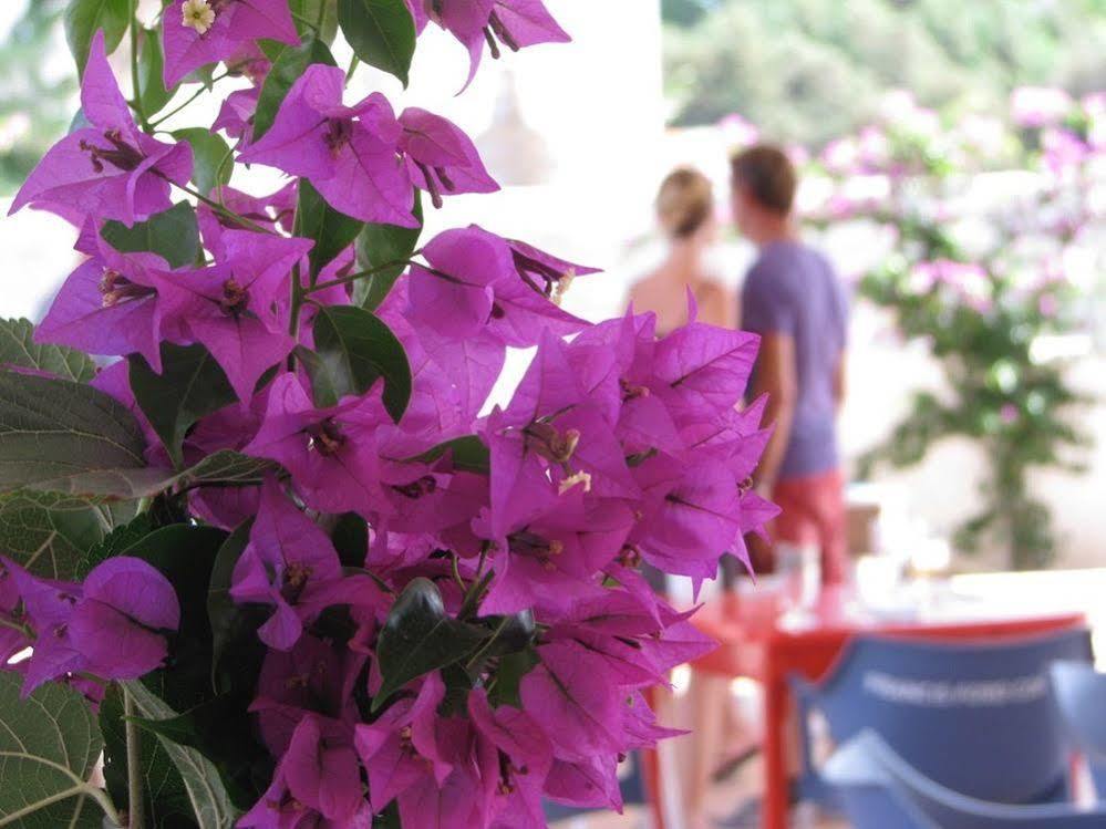 Cosmos Grand Hostal Sant Francesc de s'Estany エクステリア 写真